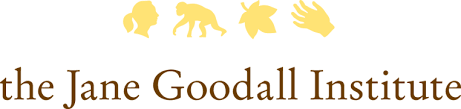 The Jane Goodall Institute logo